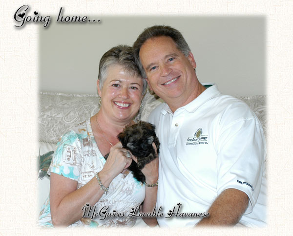 Lucy : Havanese Puppy Going Home
